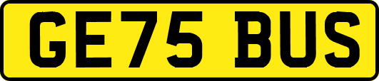 GE75BUS
