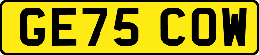 GE75COW