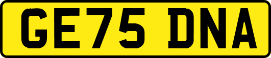 GE75DNA