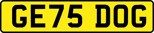 GE75DOG