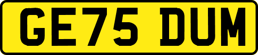 GE75DUM