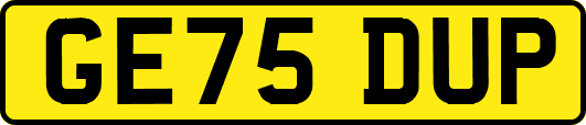 GE75DUP