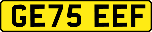 GE75EEF