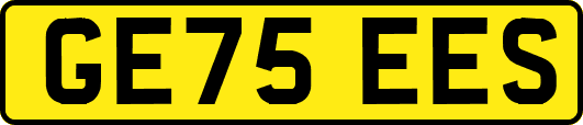 GE75EES