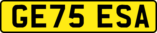 GE75ESA