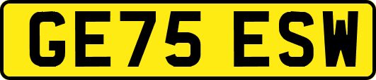 GE75ESW