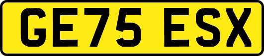 GE75ESX