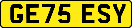 GE75ESY