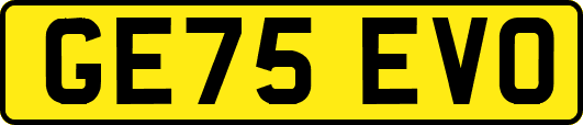 GE75EVO