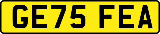 GE75FEA