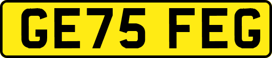 GE75FEG