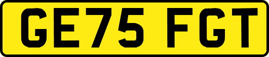 GE75FGT