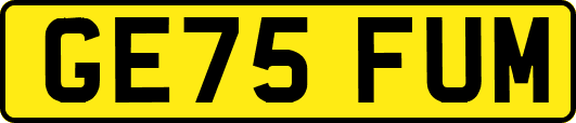 GE75FUM