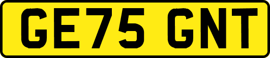 GE75GNT