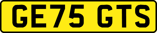 GE75GTS
