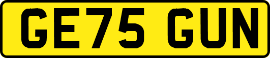 GE75GUN