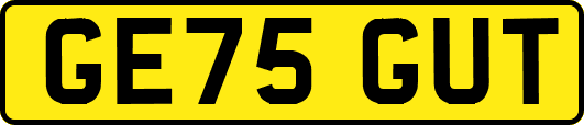 GE75GUT