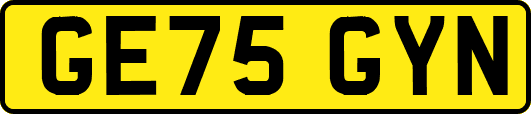 GE75GYN