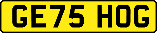 GE75HOG