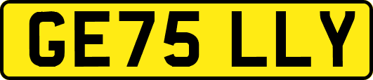 GE75LLY