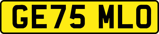 GE75MLO