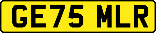 GE75MLR