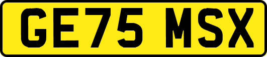 GE75MSX