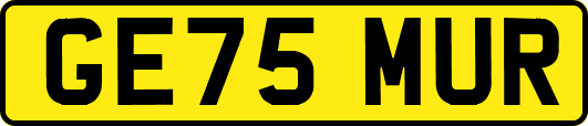 GE75MUR