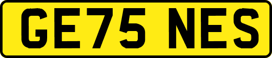 GE75NES