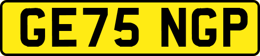 GE75NGP