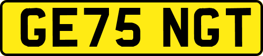 GE75NGT
