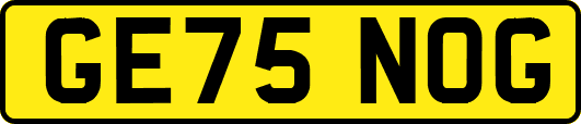 GE75NOG