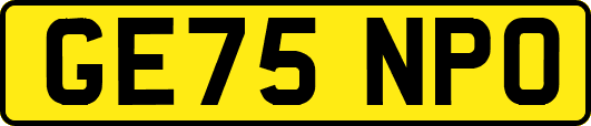 GE75NPO