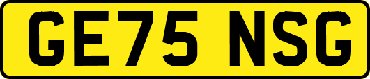 GE75NSG