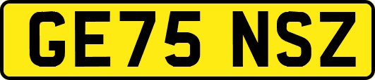 GE75NSZ