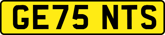 GE75NTS