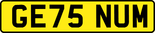GE75NUM