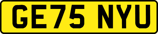 GE75NYU