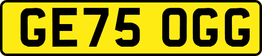 GE75OGG