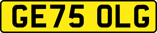 GE75OLG