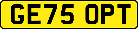 GE75OPT