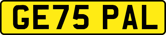 GE75PAL