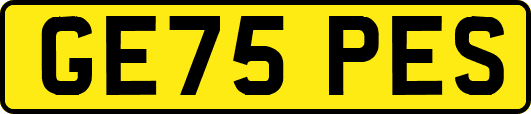 GE75PES