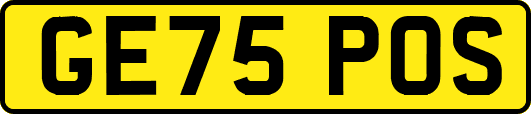 GE75POS