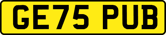 GE75PUB
