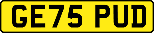 GE75PUD