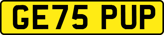 GE75PUP