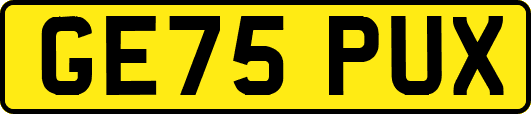 GE75PUX