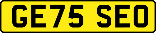 GE75SEO