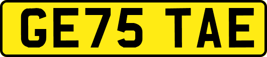 GE75TAE